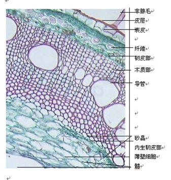 QQ截图20170817111215.png QQ截图20170817111215.png