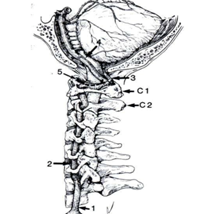 clip_image002.png clip_image002.png
