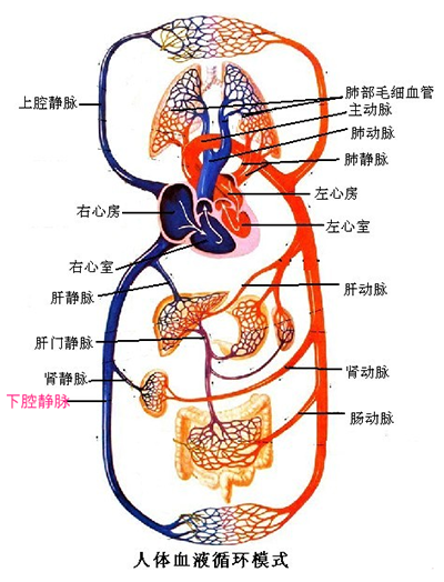 clip_image001.png