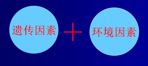 2.png 2.png