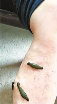 857998_wbzt01_1545315569632_b.jpg 857998_wbzt01_1545315569632_b.jpg