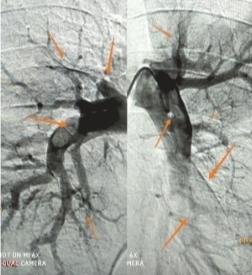 1228937_wbzt02_1551971880554_b.jpg 1228937_wbzt02_1551971880554_b.jpg