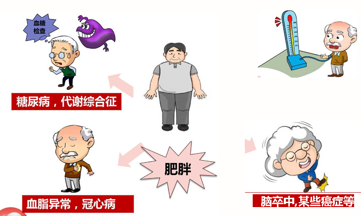 5.png 5.png