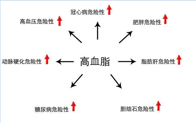 1.png 1.png