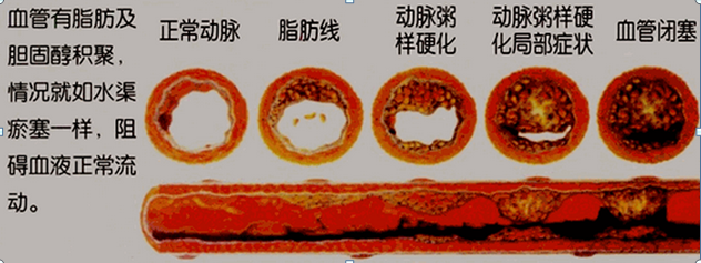 2.png 2.png