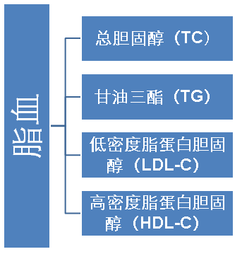 3.png 3.png