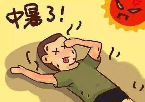 11.jpg 11.jpg